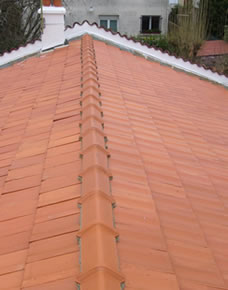 Intervention de toiture sur Vertou 44
